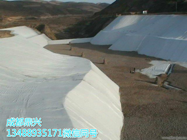 防水土工布 防水土工布